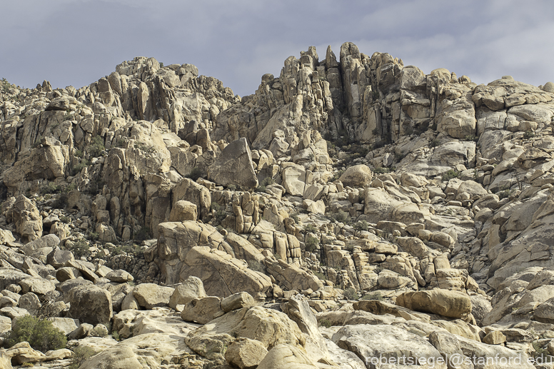 Joshua Tree National Park